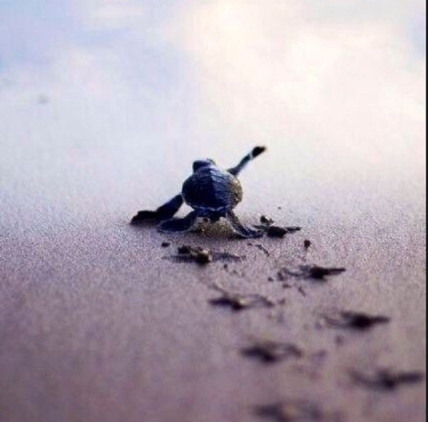 카지노 게임,카지노 전략,배팅전략.png