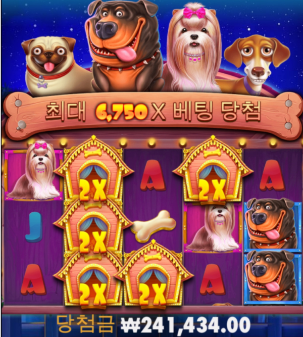 즙즙 개집 처음이득.PNG