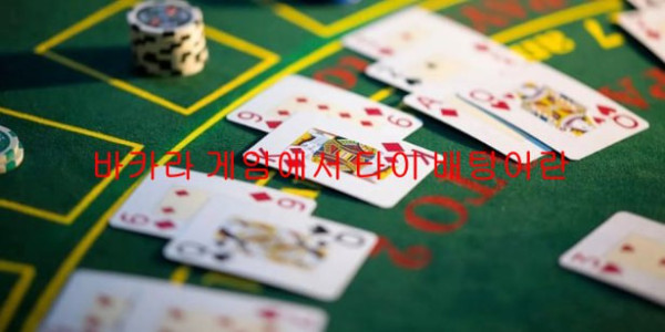 바카라 게임에서 타이 배팅이란