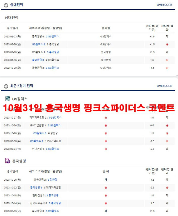 10월31일 흥국생명 핑크스파이더스 코멘트