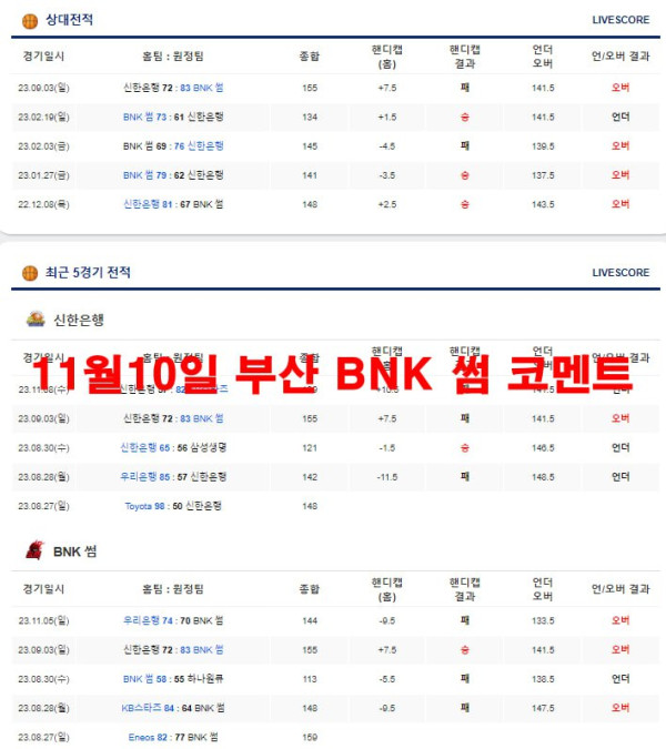11월10일 부산 BNK 썸 코멘트