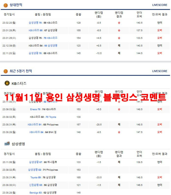 11월11일 용인 삼성생명 블루밍스 코멘트