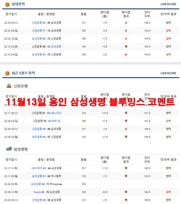 11월13일 용인 삼성생명 블루밍스 코멘트