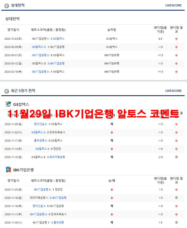 11월29일 용인 삼성생명 블루밍스 코멘트